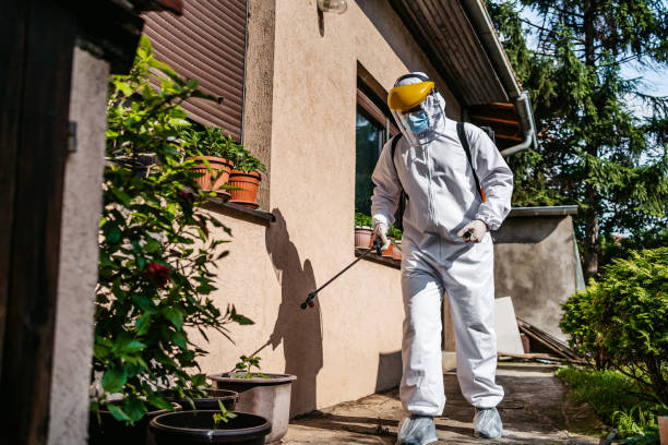 Best Flea Control Services  in Riverbank, CA