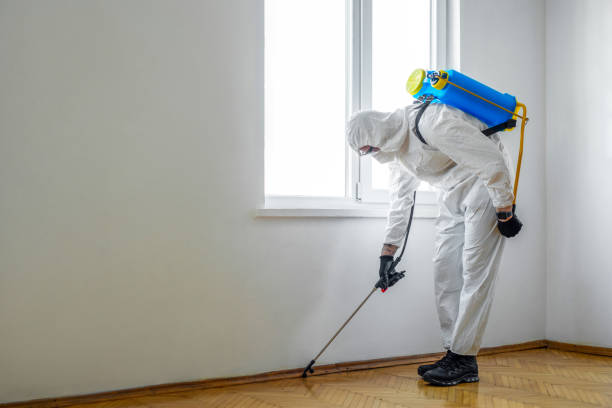 Best Rat Extermination Near Me  in Riverbank, CA