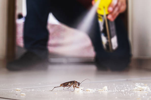 Best Best Pest Control Companies  in Riverbank, CA