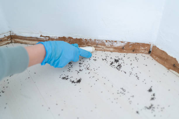 Riverbank, CA Pest Control Company